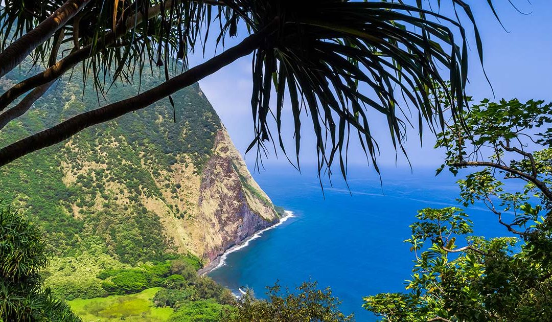 Why is Life So Sweet on the Hamakua Coast?