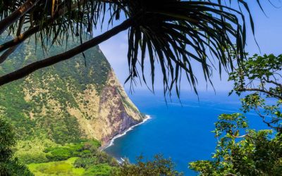 Why is Life So Sweet on the Hamakua Coast?