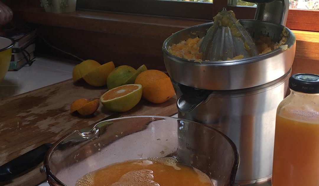 The Best Juicer for Your Citrus!