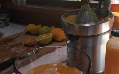 The Best Juicer for Your Citrus!