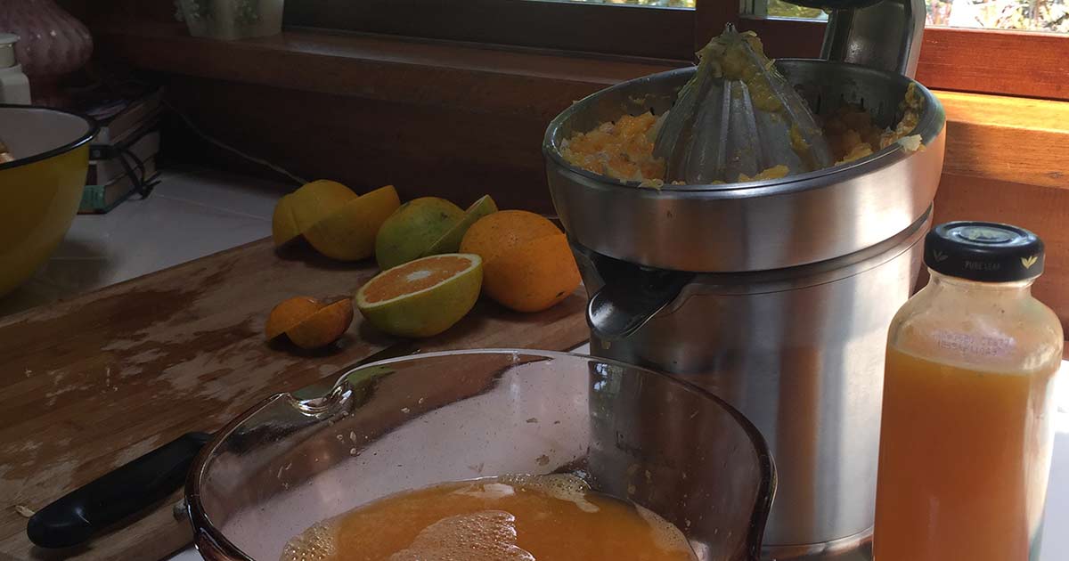 The Best Juicer for Your Citrus!