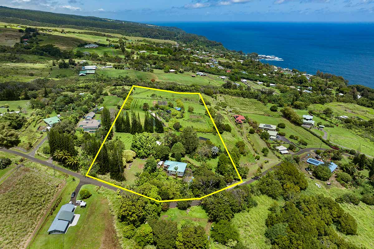 Just Listed in Laupahoehoe