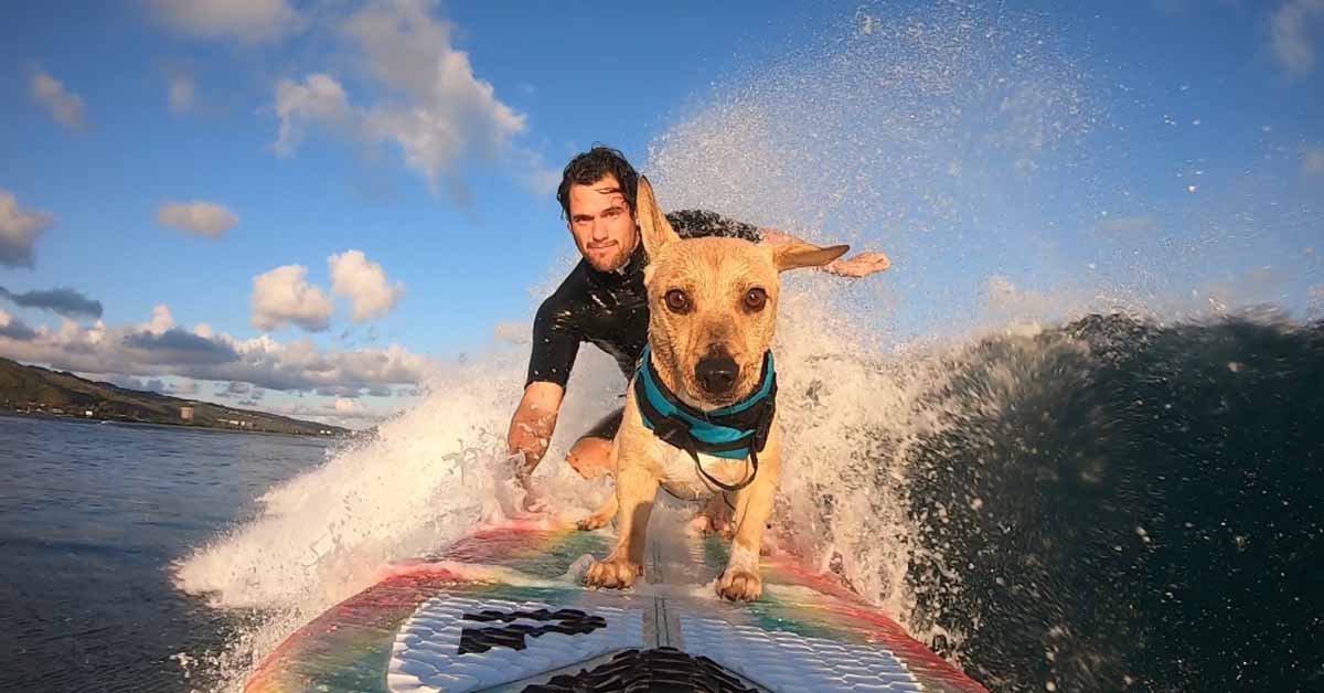 Surfing for the epic assumable loan to save big