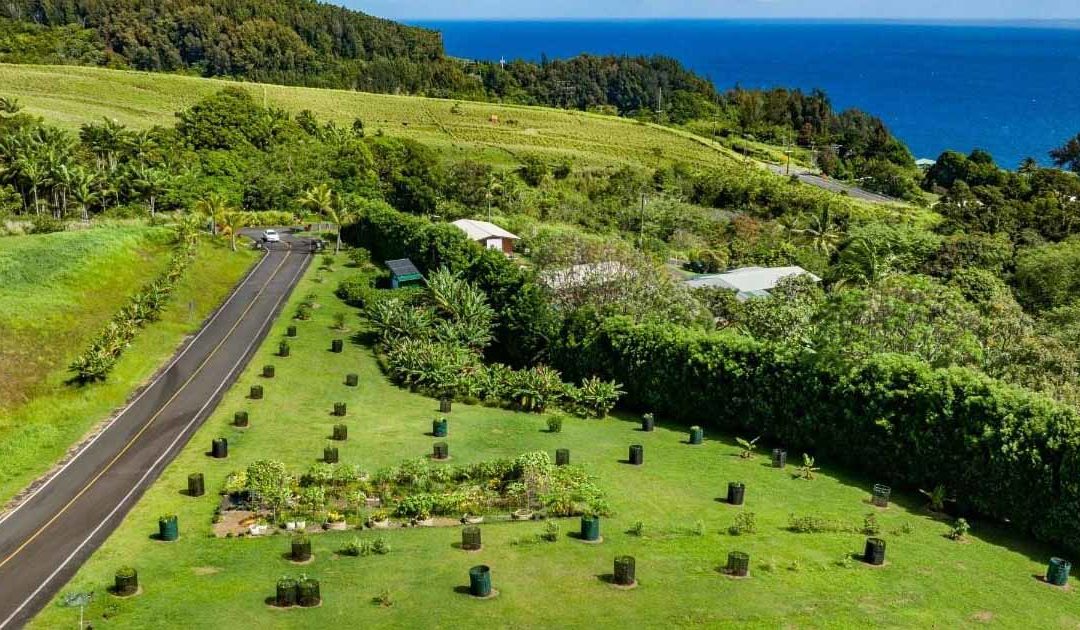 Sold – Kuwili Lani Lot 7