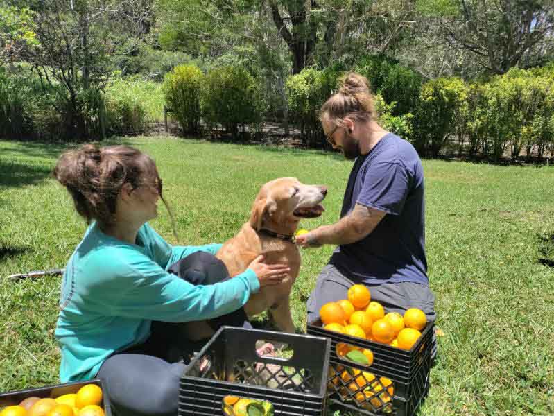 Kokua Harvest Volunteers with Lehua