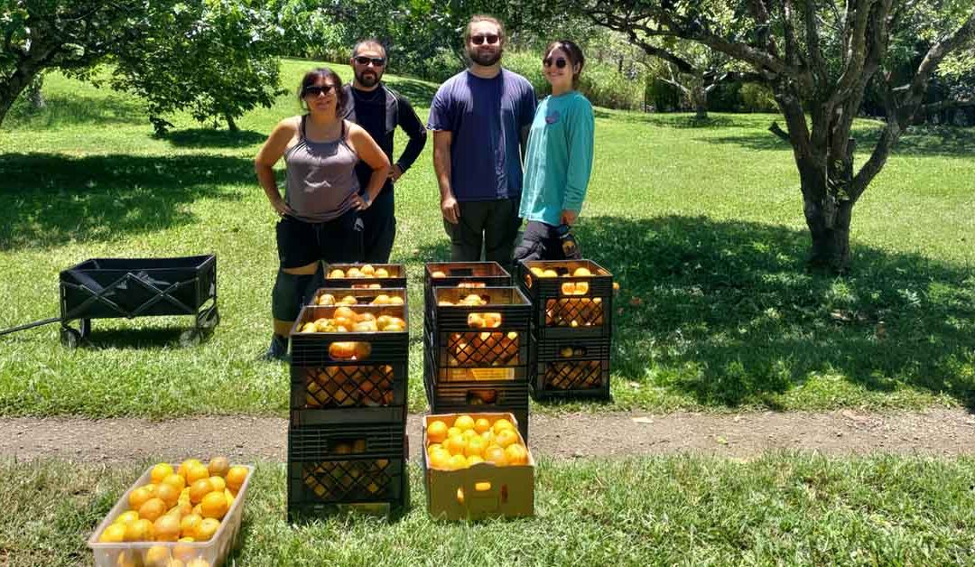 CBIP Foundation Donates to Kokua Harvest!