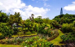 Lush tropical garden with diverse greenery, palm trees, and colorful flowers under a partly cloudy blue sky. Pathways wind through the landscape.
